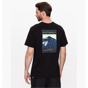 Футболка The North Face Men's S/S North Faces Tee NF00CEQ8