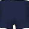Плавки Arena TALES SWIM SHORT 009087-701