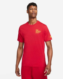 Футболка The Nike Tee Nike Athletic Club DR9965-687