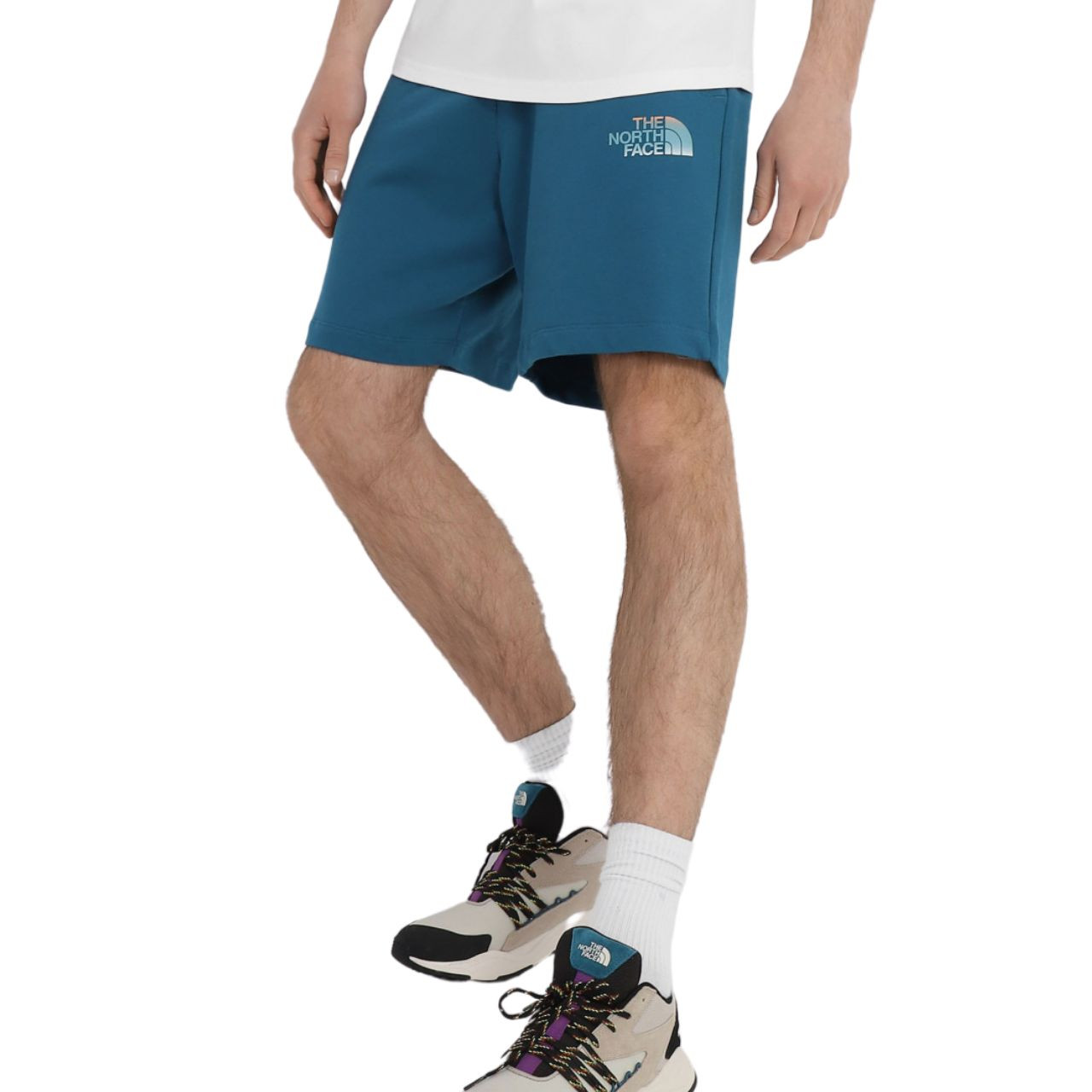 Шорти The North Face D2 GRAPHIC SHORT NF0A83FREFS1