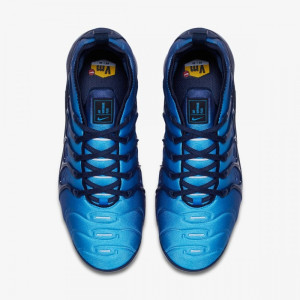 Кросівки Nike Air Vapormax Plus Obsidian 924453-401