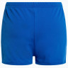 Плавки Arena TEAM SWIM SHORT SOLID 004777-720