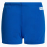 Плавки Arena TEAM SWIM SHORT SOLID 004777-720