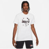 Футболка Nike F.C. Dry Tee Seasonal Graphic CZ0591-100