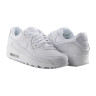 Кросівки Nike AIR MAX 90 LTR CZ5594-100