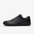 Кросівки Nike  SB FORCE 58 PRM L DH7505-001