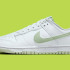 Кросівки Nike Dunk Low Retro DV0831-105