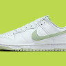 Кросівки Nike Dunk Low Retro DV0831-105