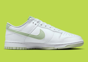 Кросівки Nike Dunk Low Retro DV0831-105