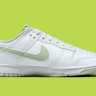 Кросівки Nike Dunk Low Retro DV0831-105