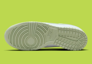 Кросівки Nike Dunk Low Retro DV0831-105