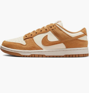 Кросівки Nike WMNS DULOW HJ7673-100