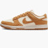 Кросівки Nike WMNS DULOW HJ7673-100