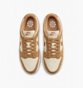 Кросівки Nike WMNS DULOW HJ7673-100