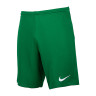 Шорти тренувальні Nike M NK DF PARK III SHORT NB K BV6855-302