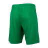 Шорти тренувальні Nike M NK DF PARK III SHORT NB K BV6855-302