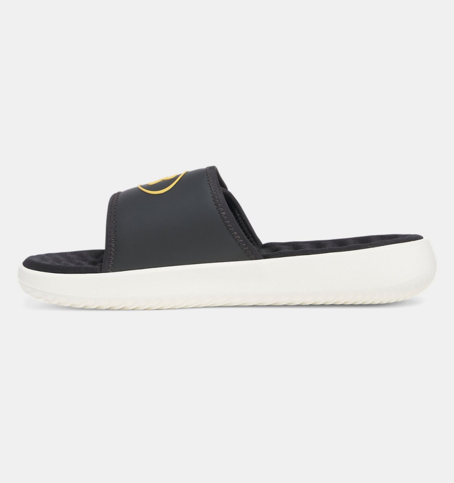 Тапочки Under Armour Ignite Pro 8 SL 6000337-025