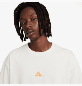 Футболка Nike ACG Lungs Tee Light Orewood Brown DQ1815-104