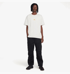 Футболка Nike ACG Lungs Tee Light Orewood Brown DQ1815-104