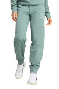 Штани спортивні SCRIPT Comfort Sweatpants 68498530 Puma L Зелений 68498530