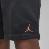 Шорти тренувальні JORDAN LBR SHORT F2 DX9716-045