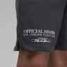 Шорти тренувальні JORDAN LBR SHORT F2 DX9716-045