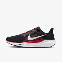 Кросівки Nike AIR ZOOM PEGASUS 41 FD2722-003