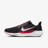 Кросівки Nike AIR ZOOM PEGASUS 41 FD2722-003