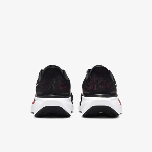 Кросівки Nike AIR ZOOM PEGASUS 41 FD2722-003