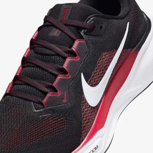 Кросівки Nike AIR ZOOM PEGASUS 41 FD2722-003