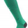 Гетри Puma Team LIGA Socks зелений Уні 35-38 703438-05