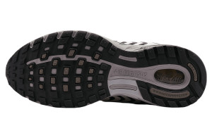 Кросівки Nike AIR PEGASUS 2005 HQ5403-003