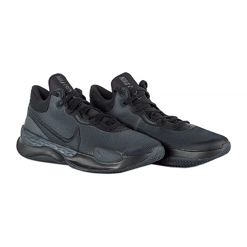 Кросівки баскетбольні Nike NIKE RENEW ELEVATE III DD9304-001