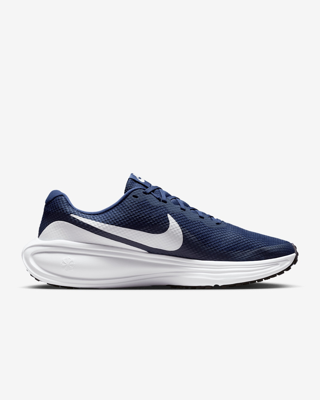 Кросівки Nike Revolution 8 HJ9198-403