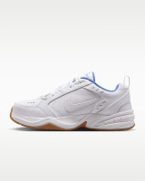 Кросівки Nike AIR MONARCH IV 415445-105