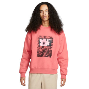 Світшот Nike Sb Fleece Skate DV9032-655