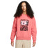 Світшот  Nike Sb Fleece Skate DV9032-655
