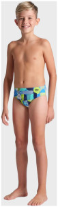 Плавки Arena WALLPAPER SWIM BRIEFS 009096-750