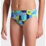 Плавки Arena WALLPAPER SWIM BRIEFS 009096-750