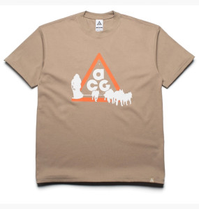 Футболка Nike ACG OC Dog Sled T-shirt Khaki FZ5277-247