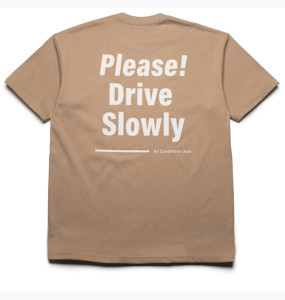 Футболка Nike ACG OC Dog Sled T-shirt Khaki FZ5277-247