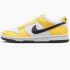 Кросівки Nike Dunk Low Next Nature GS Citron Pulse FN3807-800