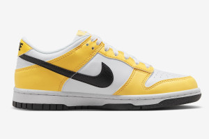 Кросівки Nike Dunk Low Next Nature GS Citron Pulse FN3807-800