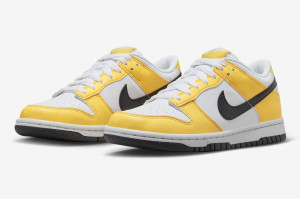 Кросівки Nike Dunk Low Next Nature GS Citron Pulse FN3807-800