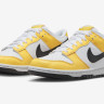 Кросівки Nike Dunk Low Next Nature GS Citron Pulse FN3807-800