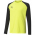 Футболка воротарська Puma teamPACER GK LS Junior 704939-42