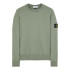 Світшот Stone Island Compass Badge Sweatshirt Green 811563051-V0059