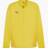 Куртка Puma teamGOAL Training Jacket 658633-07