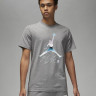 Футболка Jordan Mens Brand Graphic Short - Sleeve DV8414-091