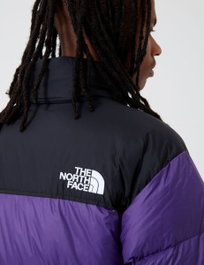 Куртка The North Face 1996 Retro Nuptse Jacket Hero Purple (NF0A3C8DN5N) NF0A3C8DN5N
